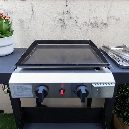 Opo Vale Formoso Iii Balcony&bbq 波尔图