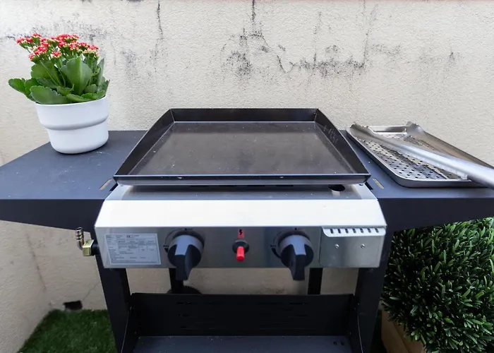 Opo Vale Formoso Iii Balcony&bbq Oporto